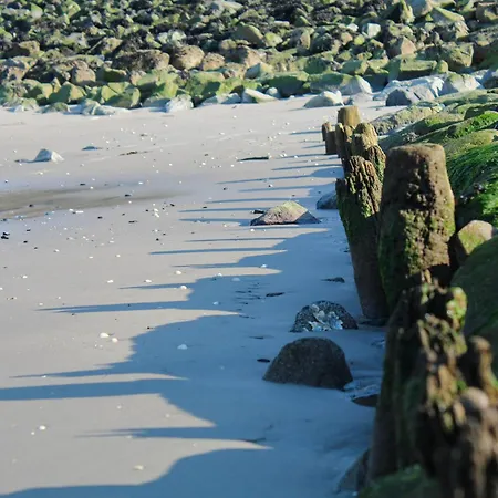 Haus Atlantic Whg. 607a *